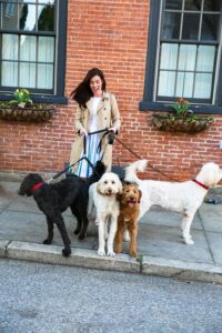 How Much to Pay Pets sitter