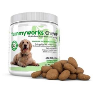 Natural Supplements for Pets