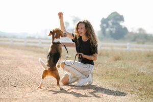 Pet care expenses