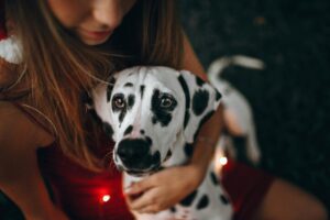 Pet love