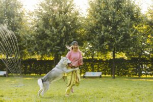 Best training to pet a dog