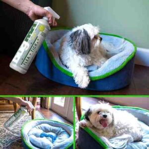 Flea Sprays for pets and Home