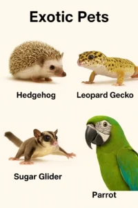 multiple exotic pets with labels