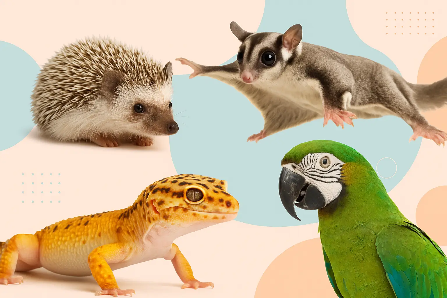 Best Exotic Pets to Own – A Complete Guide for Animal Lovers