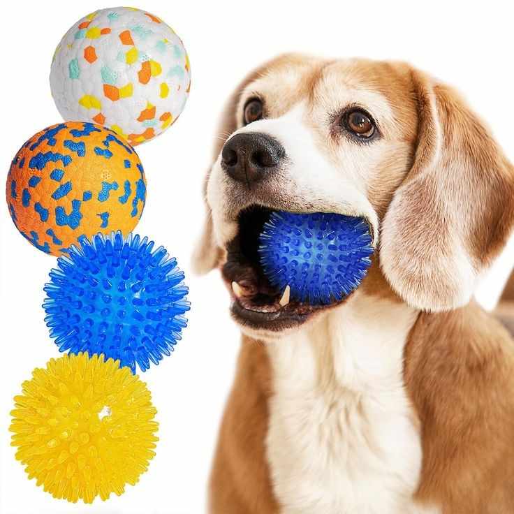A Complete Guide to the Best Dog Toys for Puppies of All Breeds