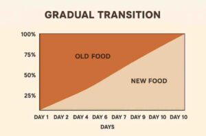 Gradual Dog Food Transition Chart