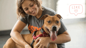 Pet Check Guide