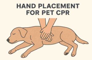 Pet CPR & Rescue Breathing