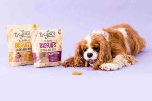 Origen Small Breed Puppy Formula