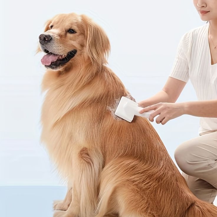 How to Stop Dog Hair Loss Causes, Treatments, and Prevention Guide