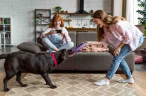 Best Pets for Busy Families