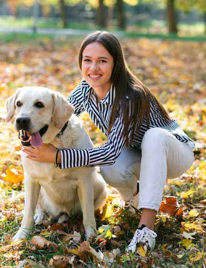 How to Stop My Dog From Being Aggressive: Proven Training Tips