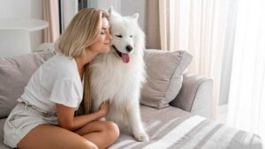 healthy relationship with your pet